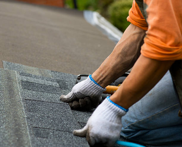 Best Roof Gutter Cleaning  in Holyoke, CO